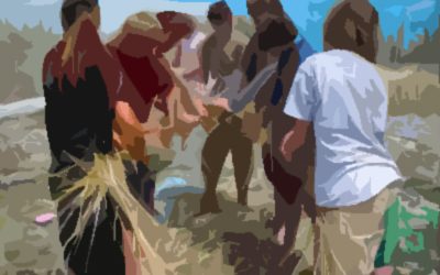 A Brain in a Box on a Shelf  – The Need to Reconnect Kids with Nature