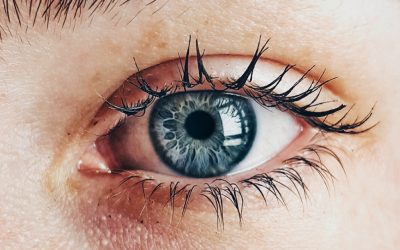 When the Fantasy Dies, You Come Alive