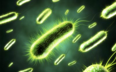 Post-Pandemic Landscapes: Behavior Modification as the New Consensus Reality