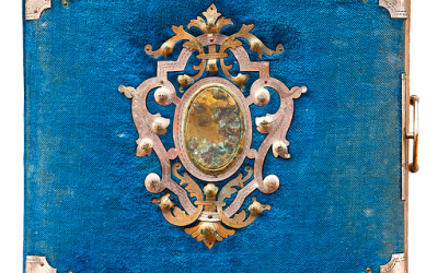 The Indivisibility of Life  By Julian Rose