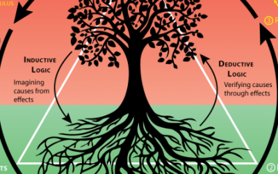 Circle of Life  ~  Causality, Consciousness, Choice and Trivium