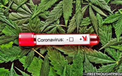 University Study Finds Cannabis Compound Inhibits SARS-CoV-2 in Human Lung Cells