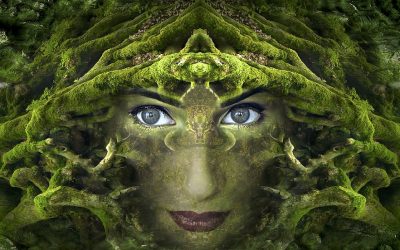 The Significance of Dreams in a Dream Deprived Society