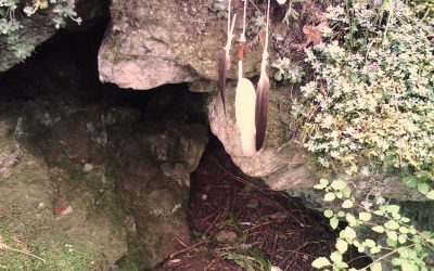 The Heart of the World  by Nowick Gray