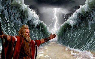 Breaking the Spell by Nowick Gray