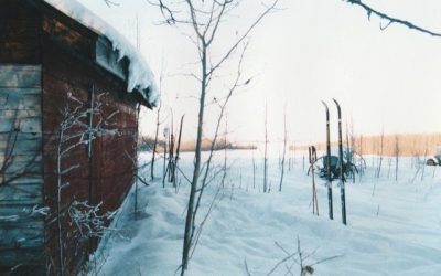 Prolitarian Pioneer…THE BOOK!  Part 2