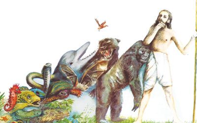 Evolution Upside-Down: History is Cyclical, Not Linear