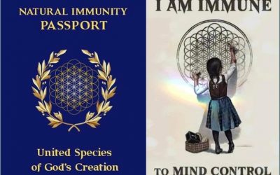 To Jab or Not to Jab By Nowick Gray