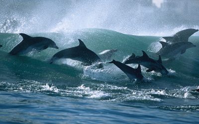 The Art of Self-Empowerment