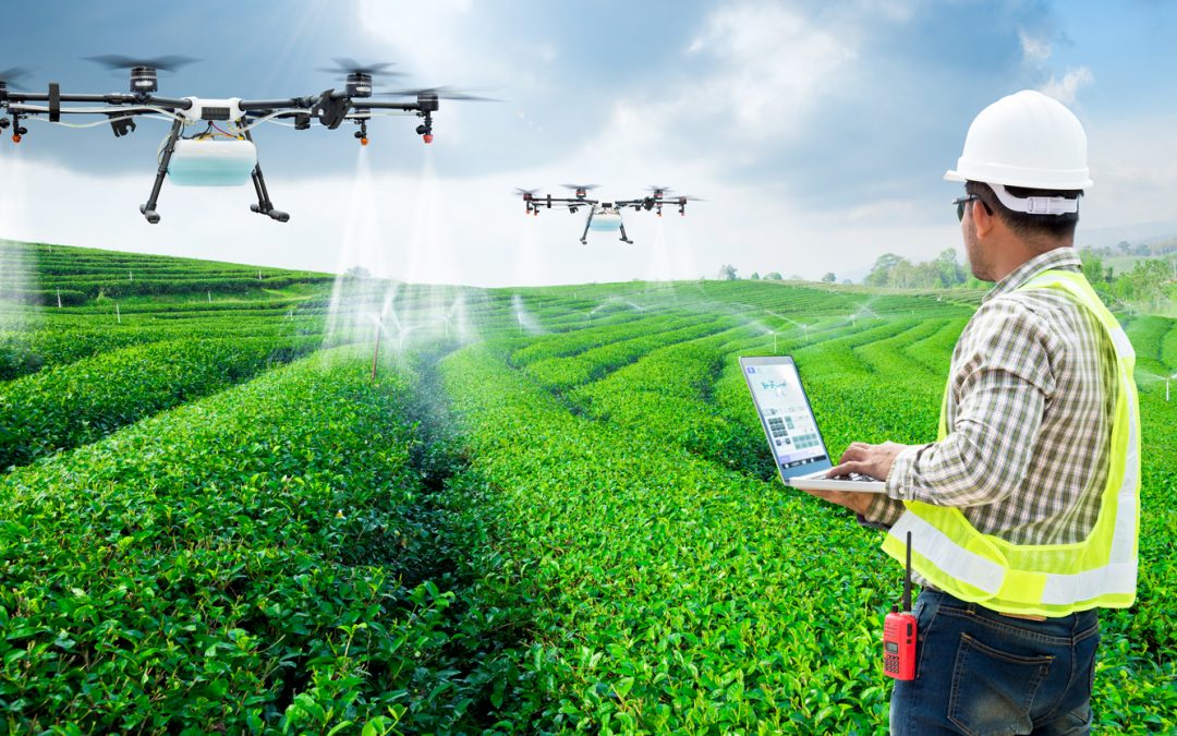 WARNING: ‘KEYS OF THE FOOD SYSTEM’ BEING HANDED OVER TO BIG TECH