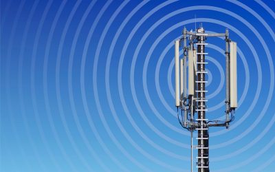 Frequency Change: A Deeper Look at COVID Vax Transmission Phenomenon