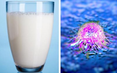 TOP SCIENTIST EXPOSES THE REAL DANGERS OF MILK: IT ‘TURNS ON CANCER’ AND ‘LEACHES CALCIUM FROM YOUR BONES’