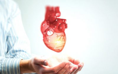 What to Eat to Defend Your Heart