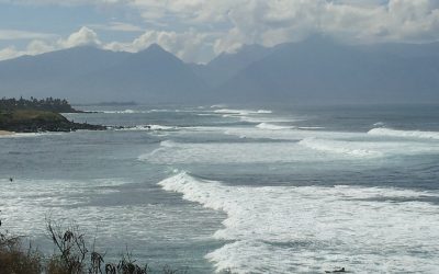 Freedom Jam   By Nowick Gray