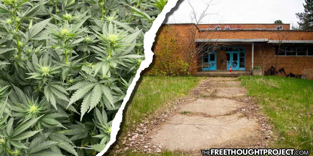 Drug War Crumbles As City Converts Old Police Academy into Cannabis Grow Facility