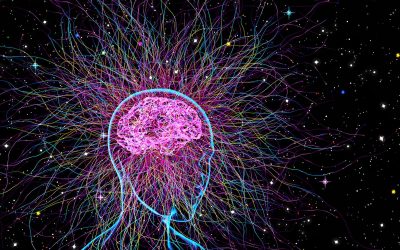 New Study Finds Humans Can Access a Higher Level of Consciousness
