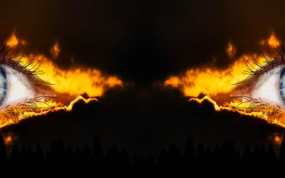  Overcoming the Hypnosis of Fear  By  Julian Rose