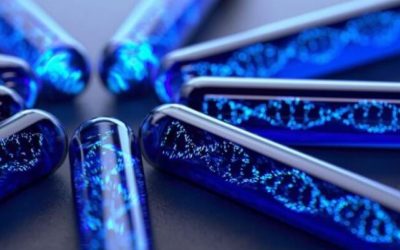 Why Big Pharma Wants Human Vaccine Factories