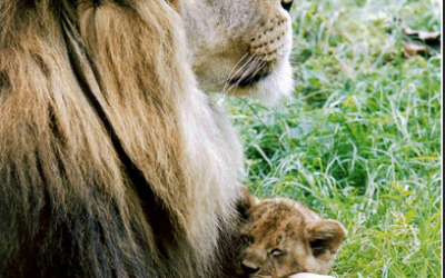A Clarion Call to the Men of our World – It is Time to Restore the Sacred Masculine!