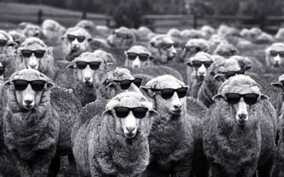 WHEN YOUR LIFE IS AT STAKE BY FOLLOWING THE HERD