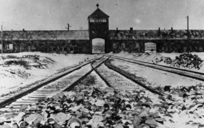 The Road to Totalitarianism