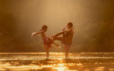 The Spiritual Dimensions of the Martial Arts