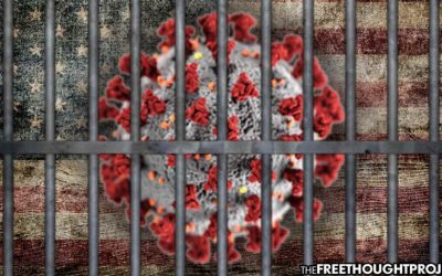Americans Have Traded Their Freedoms for Safety from COVID, And Now We Have Neither