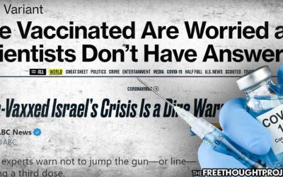 Even Mainstream Media Is Now Asking Big Questions About Covid Vaccines