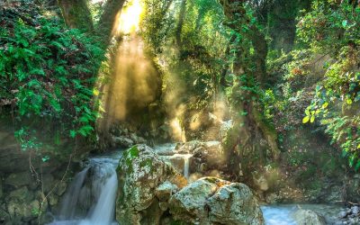 “If People Only Knew how Impressed Heaven is by Gratitude They Would Show More of It.”
