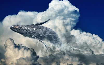 The Future of the Future By Jon Rappoport