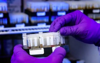 CDC and FDA Admit Their Policies are Based on a “Contrived” Model, not a Virus