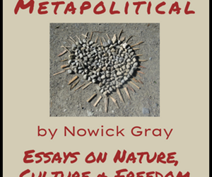 Press Release ~  Metapolitical: Practicing Our Human Future  By Nowick Gray