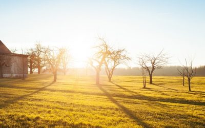 Denmark To Eliminate ALL Covid Restrictions!!How Come I only Heard About this Now?