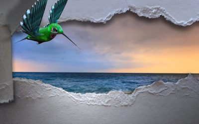 Breakthrough Immunity  By Rosanne Lindsay