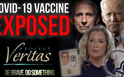 Medical Mafia Is Sinking the Health Care System