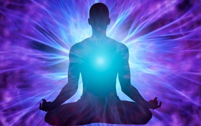 Our Electromagnetic Fields Connect To All Living Systems In An Extraordinary Way