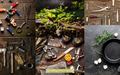 The Self-Reliance Manifesto: More Than 350 Resources to Guide You on the Path to Radical Freedom