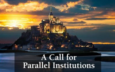 A Call for Parallel Institutions
