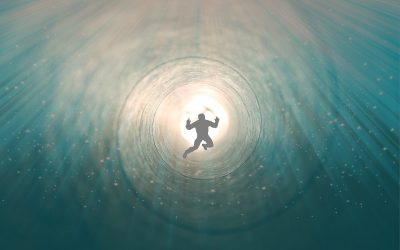 Redefining the Meaning of Life and Death   by Julian Rose