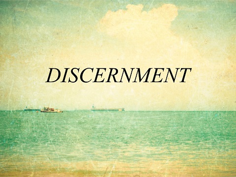 The Power of Discernment  By Kingsley L. Dennis
