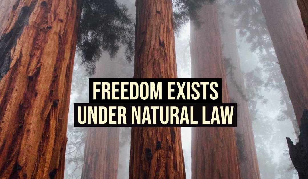 Freedom Exists Under Natural Law