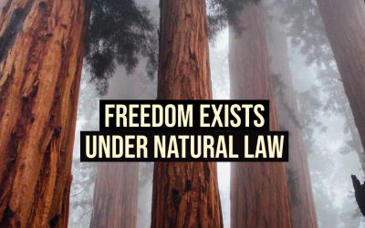 Freedom Exists Under Natural Law