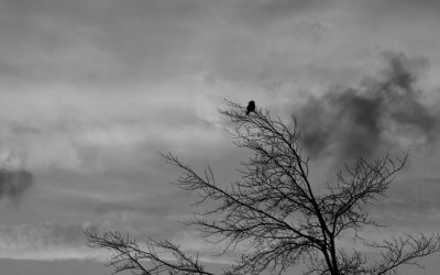 Heaven and Hell Are Only One-Tenth of an Inch Apart