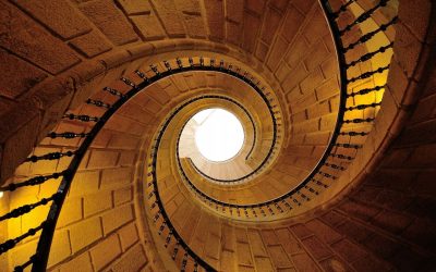 The Art of Equilibrium  by IAM SAUMS