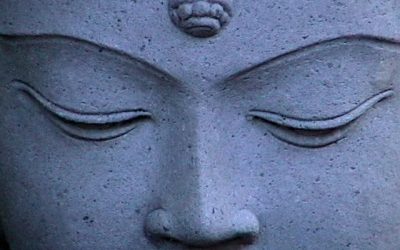 The Metaphysical Mind  By Elva Thompson