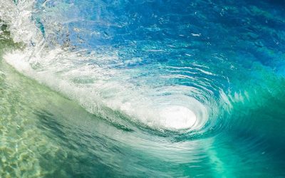 Freedom exists Outside society     By Jon Rappoport