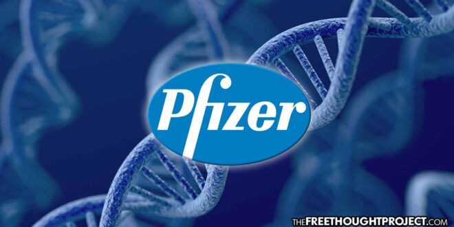 New Study Shows Pfizer mRNA Vaccine Becomes DNA in Just 6 Hours, In Vitro