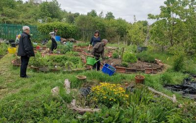 Down to the Ground – Green Medicine for the People!