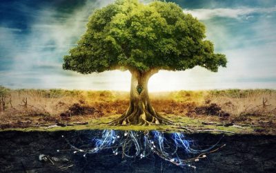 THE DANGER OF LIVING IN TWO REALITIES
