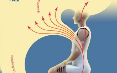 Life after Awakening  -Shifting our Awareness onto a Higher Level of Consciousness